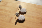 Shell-shaped earrings on a wooden surface